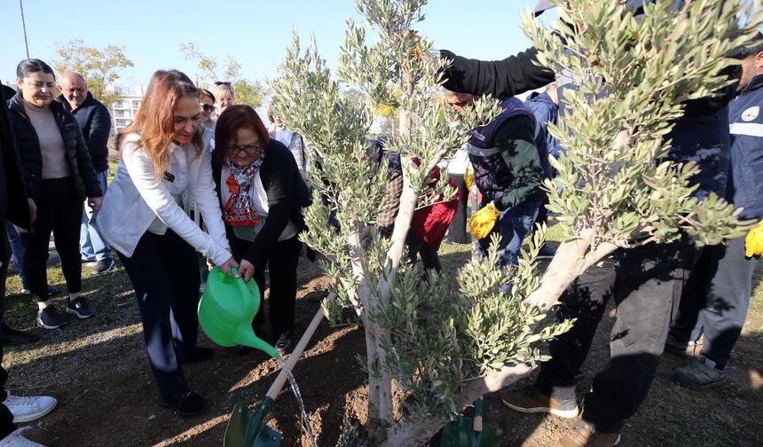 Karşıyaka’da zeytin fidanları toprakla buluştu