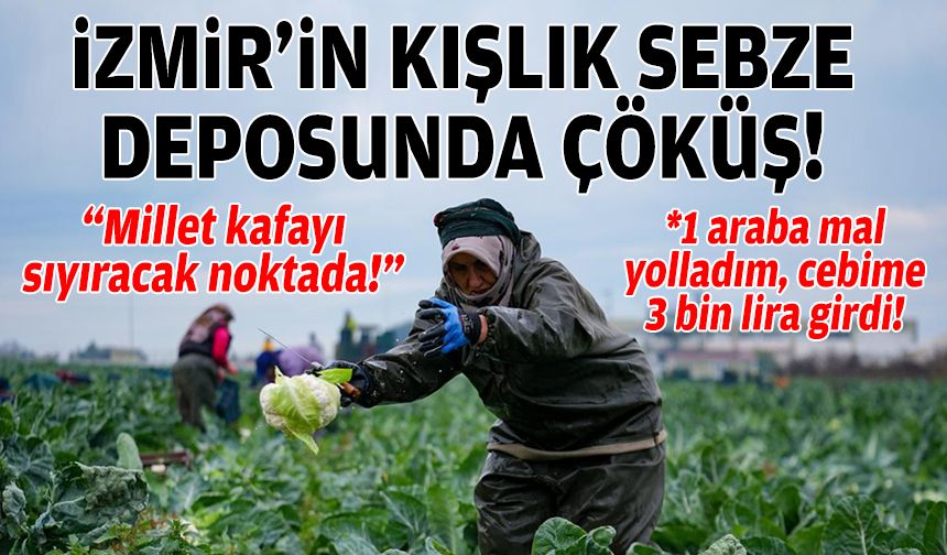 İzmir’in kışlık sebze deposunda çöküş: “Millet kafayı sıyıracak noktada!”