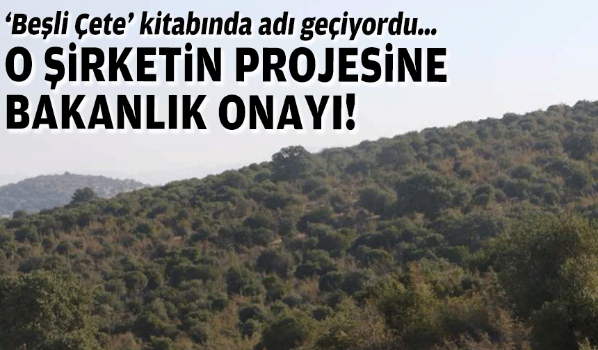 ‘Beşli Çete’ kitabında adı geçiyordu… O şirketin projesine Bakanlık onayı!