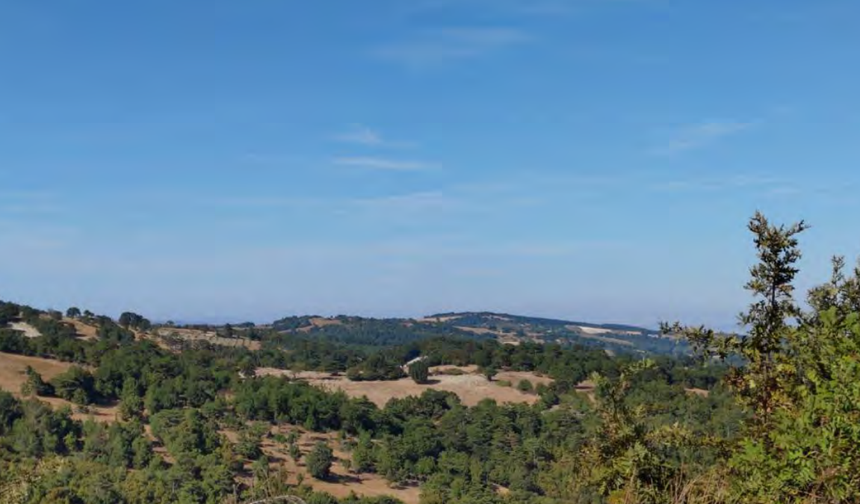 Yönetiminde eski bakan da var... Kuşların göç rotasına RES!