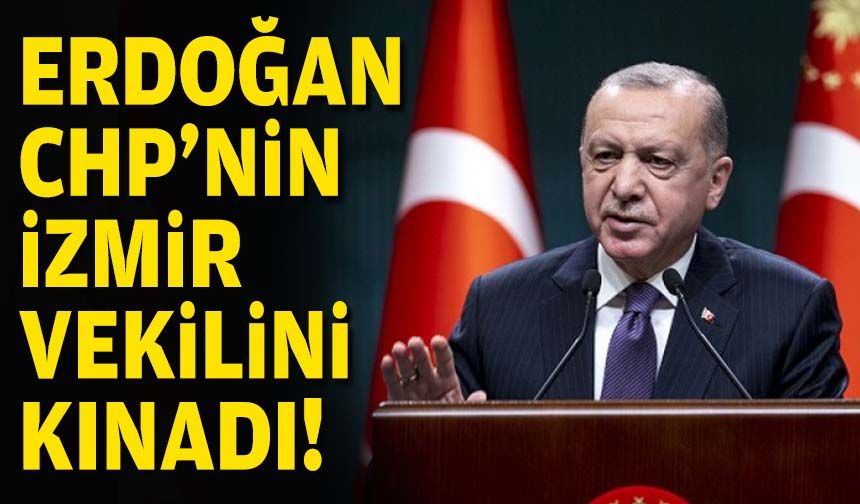 Erdoğan, CHP'nin İzmir vekilini kınadı!