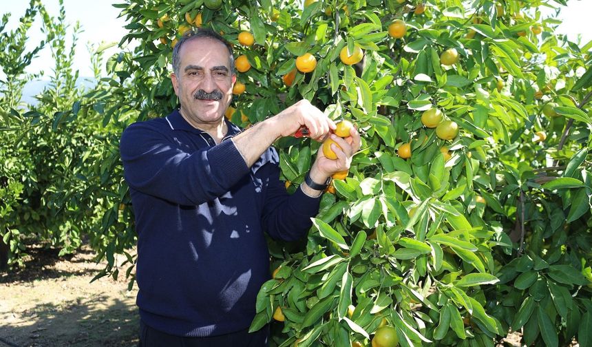 Başkan Uçak, tarla-market ilişkisini yorumladı: Suçlu hava, havayı yapan Allah, Allah’ı da suçlayamayız!