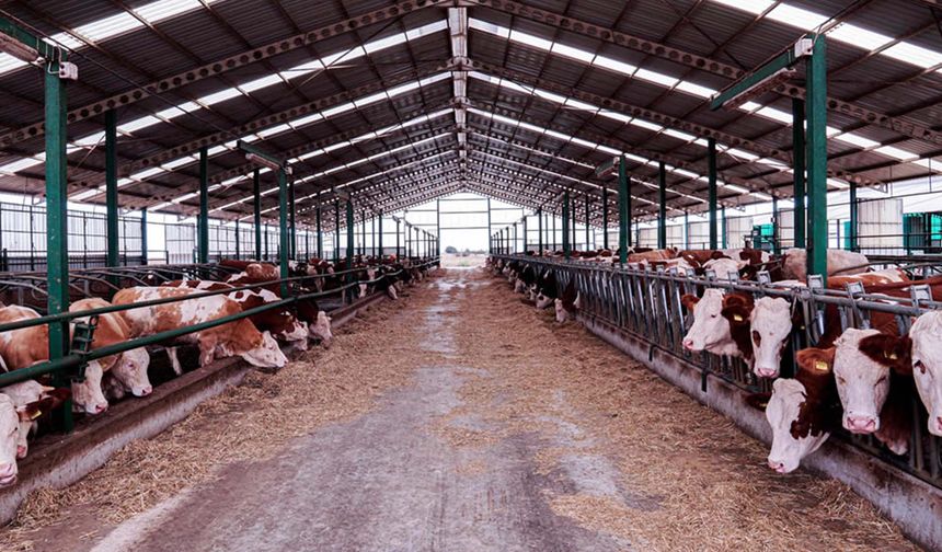 İzmir’de icradan satılık ahır!