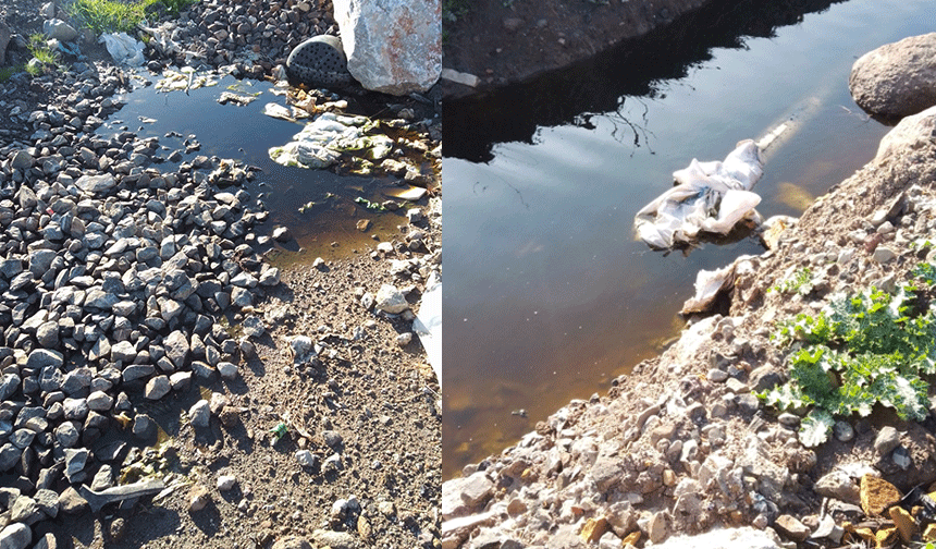 Harmandalı'da vahim iddia!