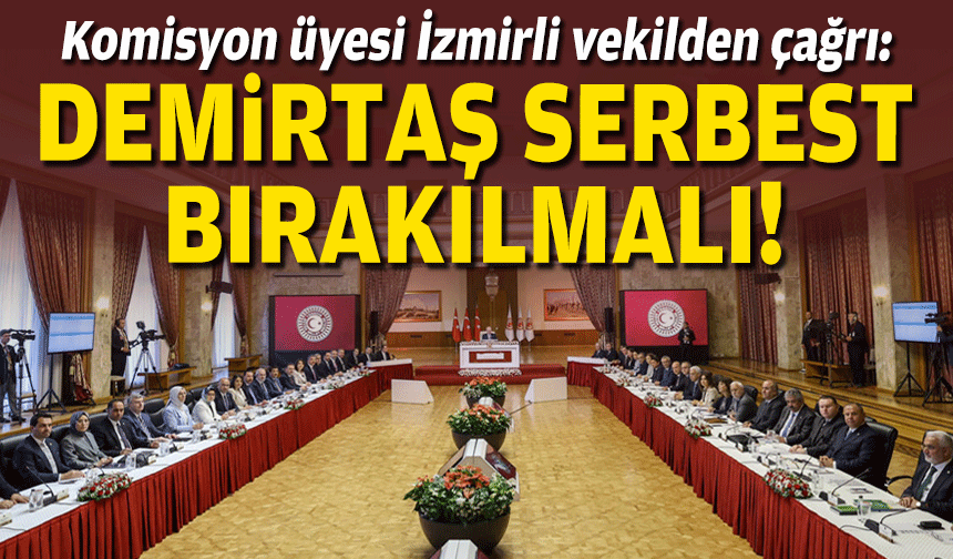 Komisyon üyesi İzmirli vekilden çağrı: Demirtaş serbest bırakılmalı!