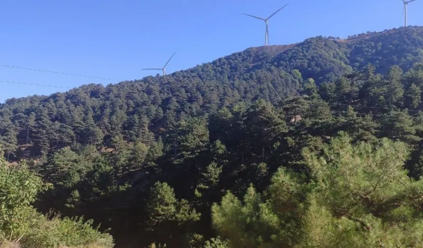 Ortakları arasında TİSK yöneticisi de var… İzmir'e komşu zehir madenine onay!