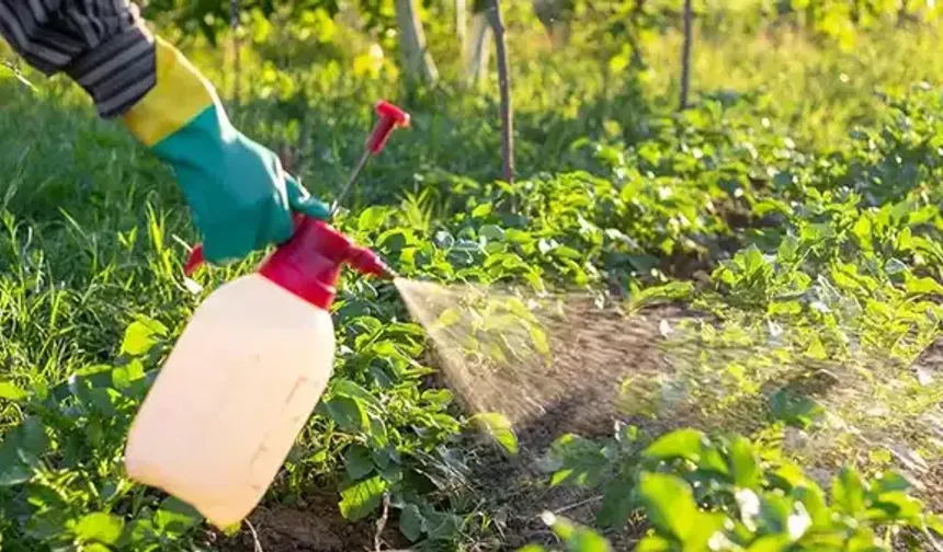 'B-Reçete' uygulaması başlıyor: Bitkiye ilaç artık reçeteyle alınacak