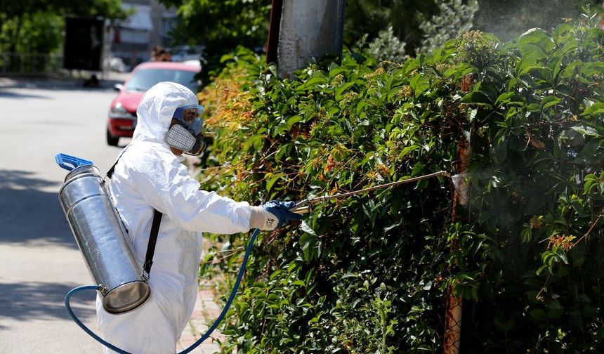 Karşıyaka’da kışa özel ilaçlama
