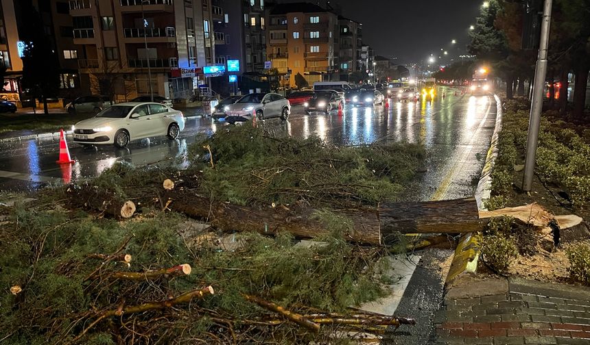 Denizli'de fırtına etkisi!