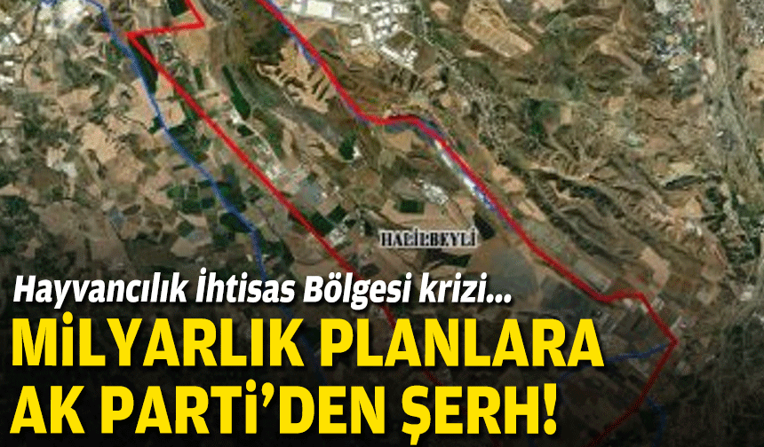 Hayvancılık İhtisas Bölgesi krizi... Milyarlık planlara AK Parti’den şerh!
