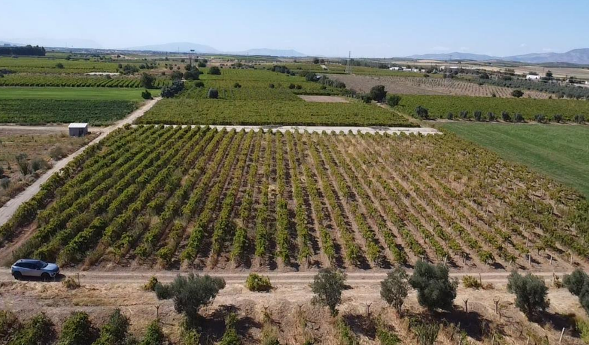 Üzümün başkentinde JES ısrarı: Danıştay kararına rağmen yeni başvuru!