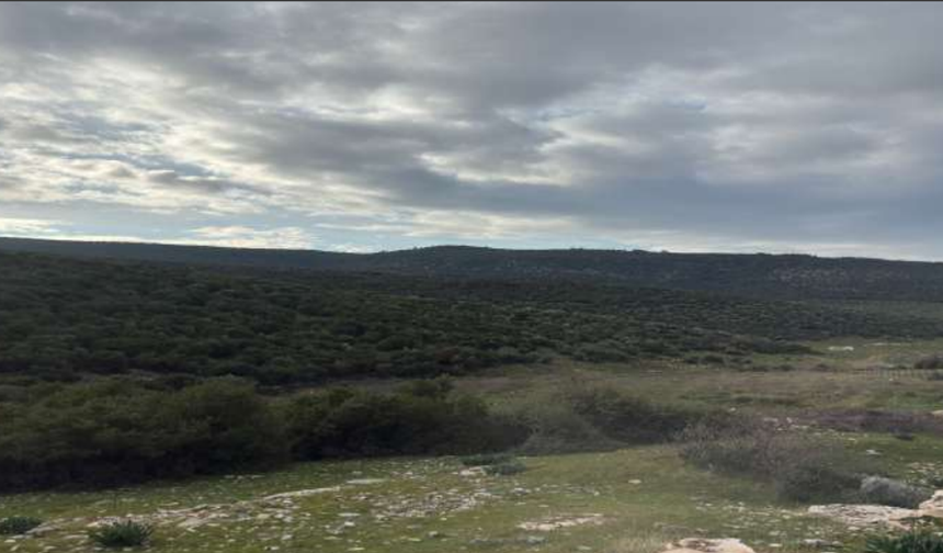 Bakanlık'tan dönmüştü... Çimento devinden ocak ısrarı!