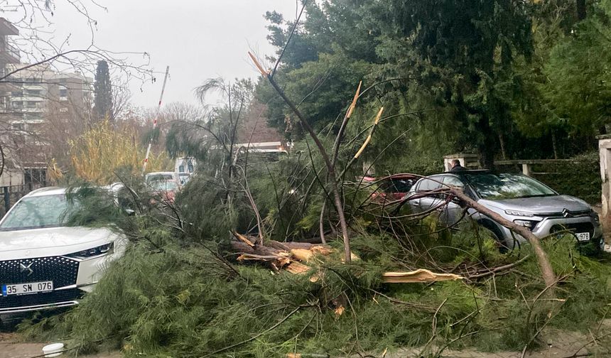 Buca'da fırtına ve yağış mesaisi