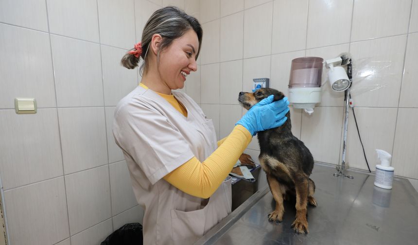 Gaziemir'den can dostlara uzanan sevgi eli