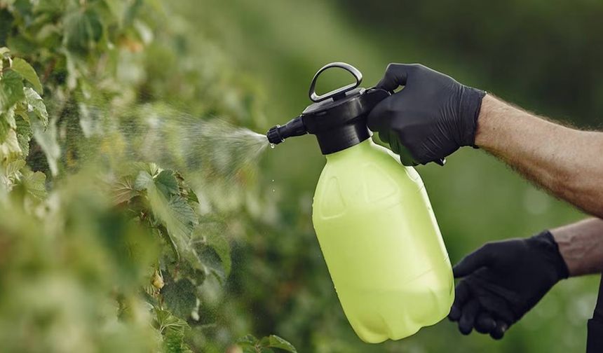 Gübre ve ihracat işindeydiler… İflas bayrağı çektiler!