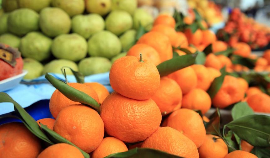 Narenciye ihracatından 1,4 milyar dolarlık gelir