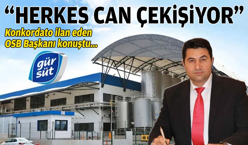 Konkordato ilan eden OSB Başkanı konuştu: Herkes can çekişiyor!