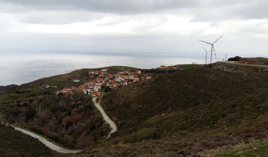 Karaburun Yerel Fok Komitesi: Sarpıncık GES iptali yeterli değil!
