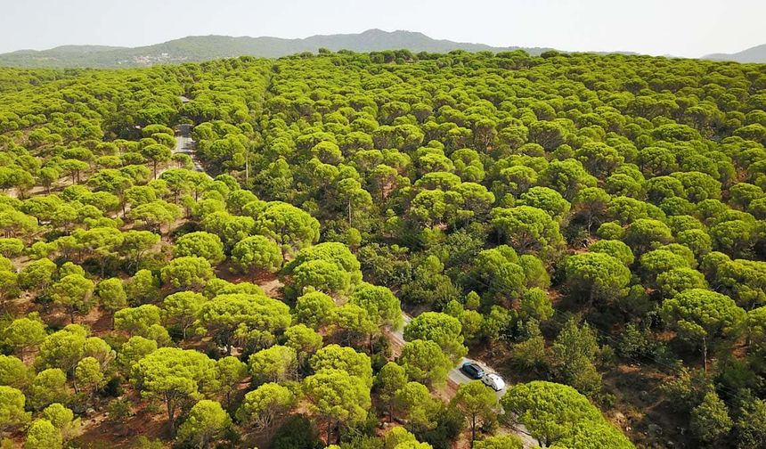 Kozak köylüsünün sevinci yarım kaldı… Bakanlık’tan yeni ÇED!