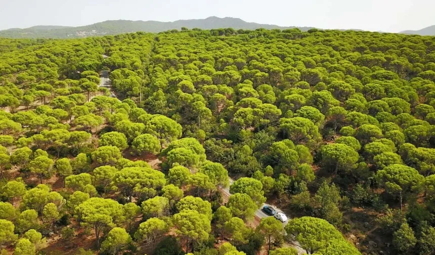 ÇED süreci başladı... Kozak'a yeni taş ocağı yolda!