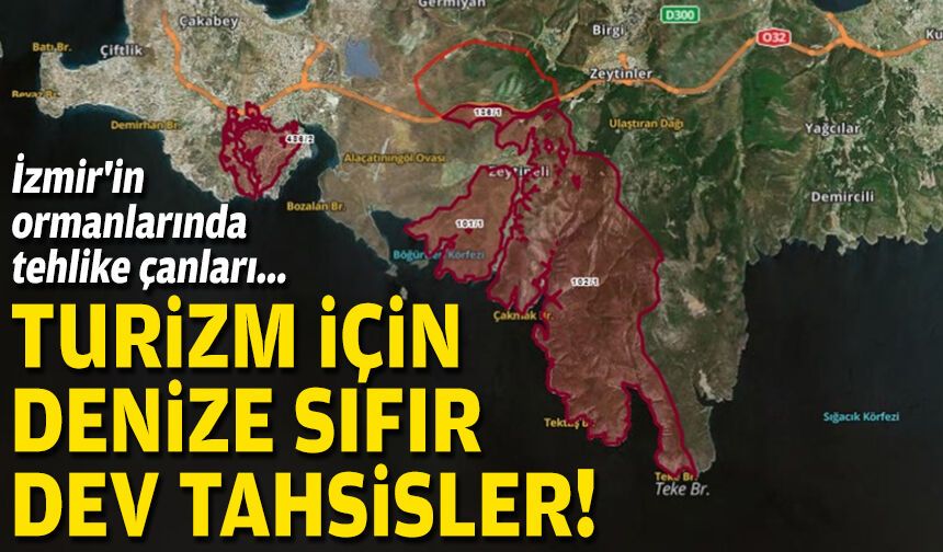 İzmir'in ormanlarında tehlike çanları... Turizm için denize sıfır dev tahsisler!