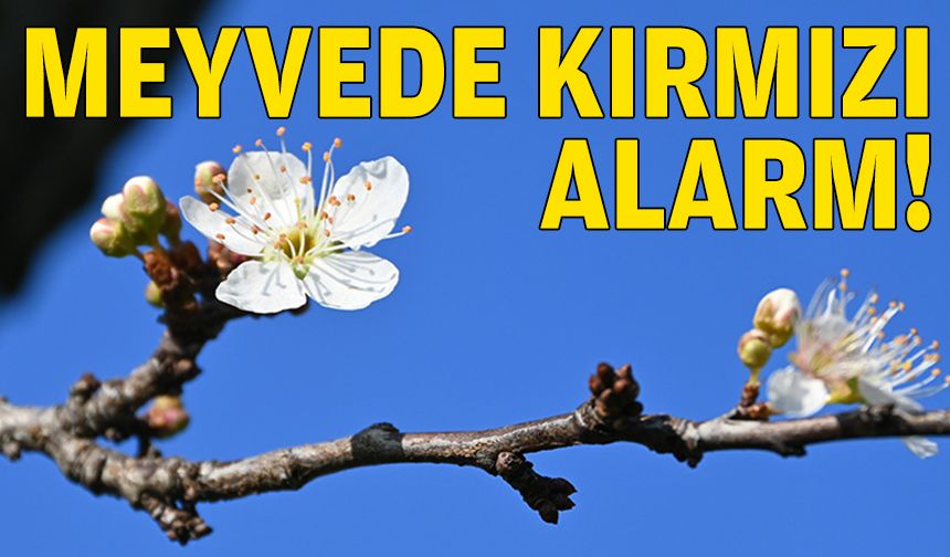 Meyvede tehlike çanları!