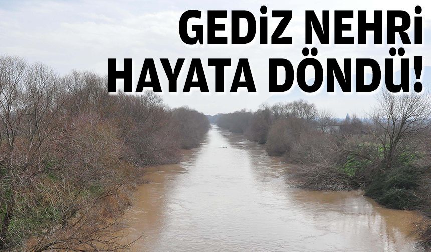 Gediz Nehri canlandı!