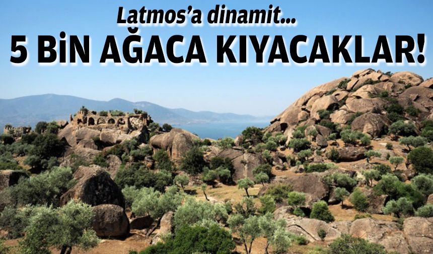 Latmos’a dinamit… 5 bin ağaca kıyacaklar!