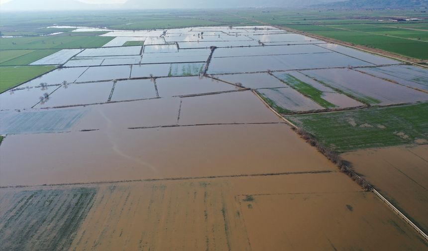 Aydın ovası göle döndü!