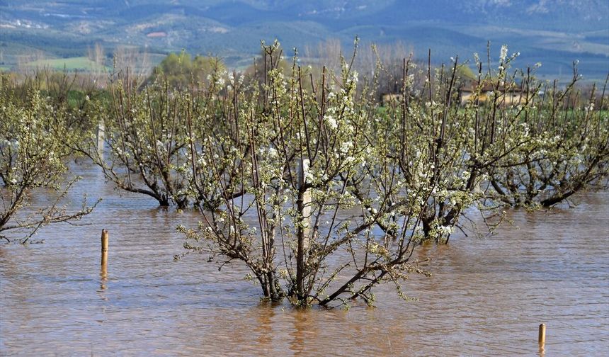 Taşkın raporu: 2 bin hektar tarla su altında!