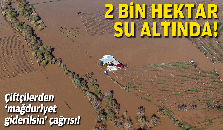 Taşkın raporu: 2 bin hektar tarla su altında!