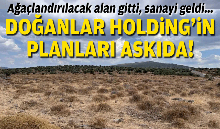 Doğanlar Holding'in planları askıda... Ağaçlandırılacak alan gitti, sanayi geldi!