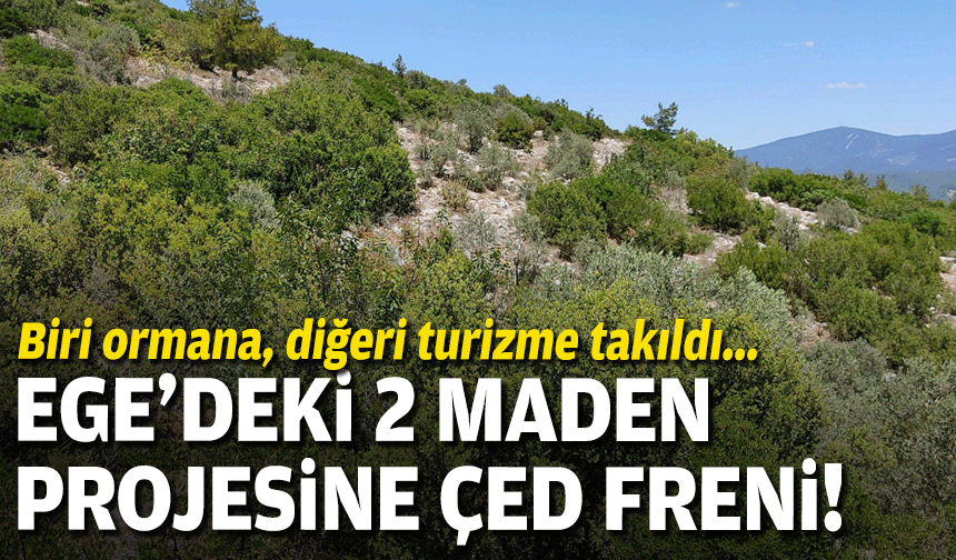 Biri ormana, diğeri turizme takıldı... Ege'deki iki maden projesine ÇED freni!