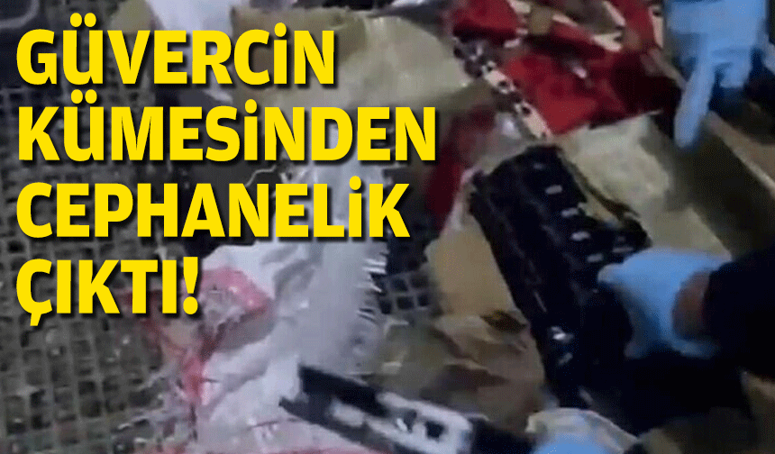 Güvercin kümesinden cephanelik çıktı!