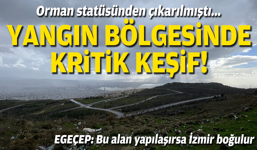 Orman statüsünden çıkarılmıştı... Yangın bölgesinde kritik keşif!