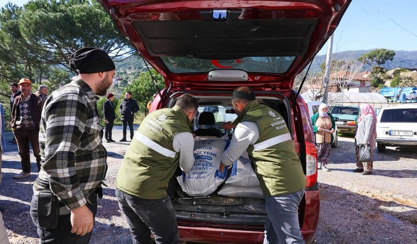Aydın’da üreticilere yem desteği!