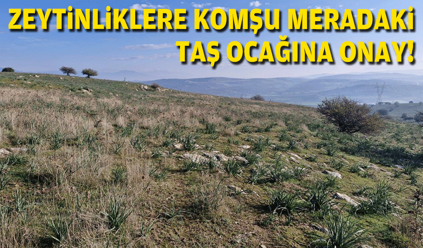 Zeytinliklere komşu meradaki ocağa onay!