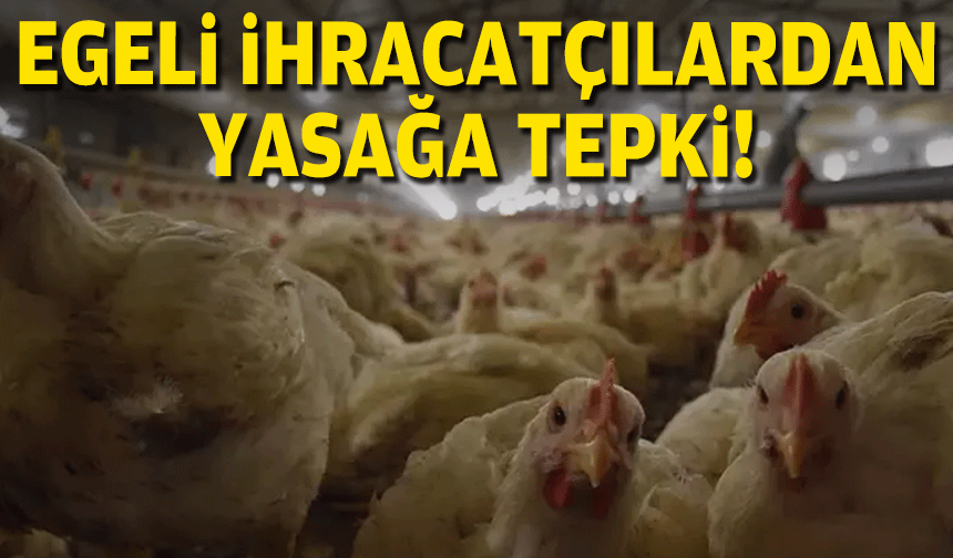 Egeli ihracatçılardan yasağa tepki!