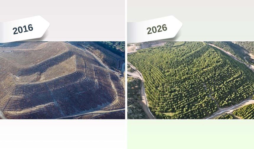 Maden sahası rehabilitasyonla yeşerdi