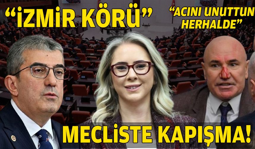"Acını unuttun herhalde", "İzmir körü"... Mecliste sert sözler!