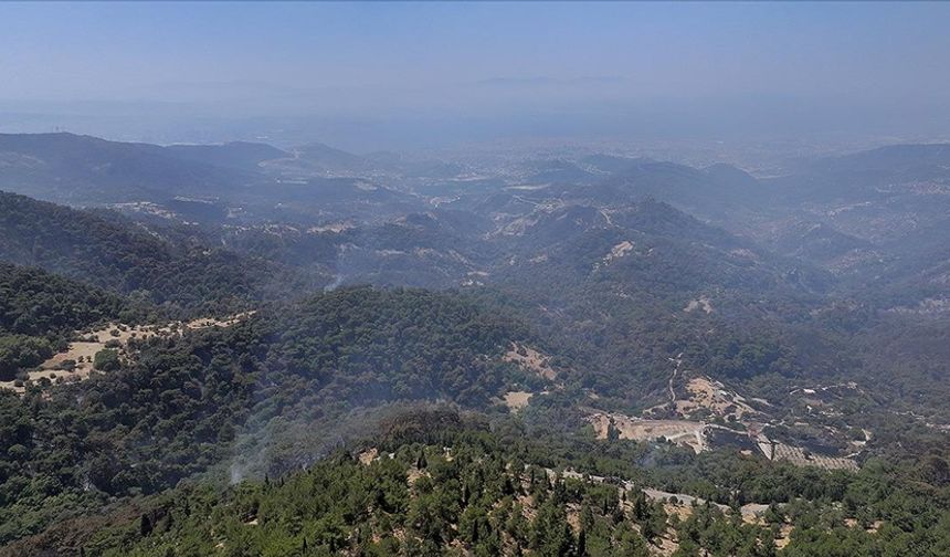 “Yanan alanlar ranta açıldı” iddiasına açıklama!