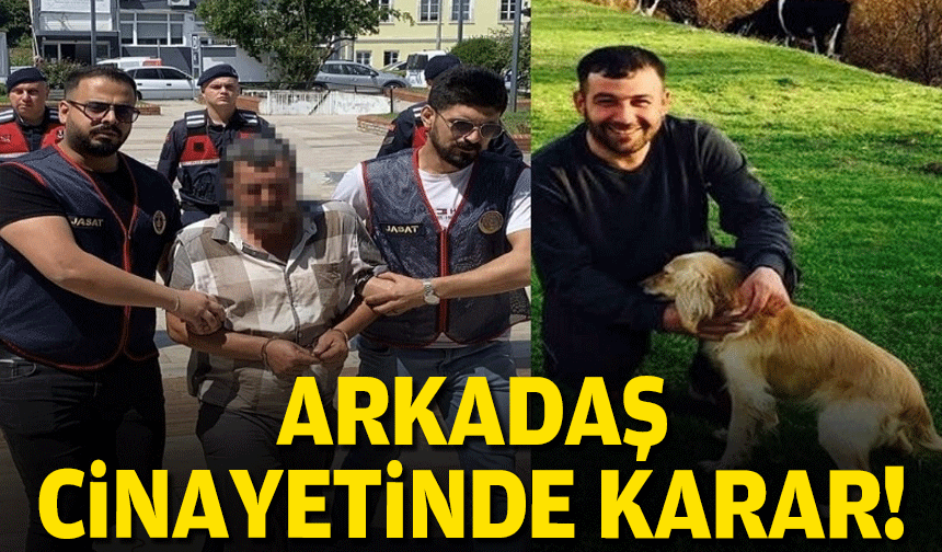 Arkadaş cinayetinde karar!