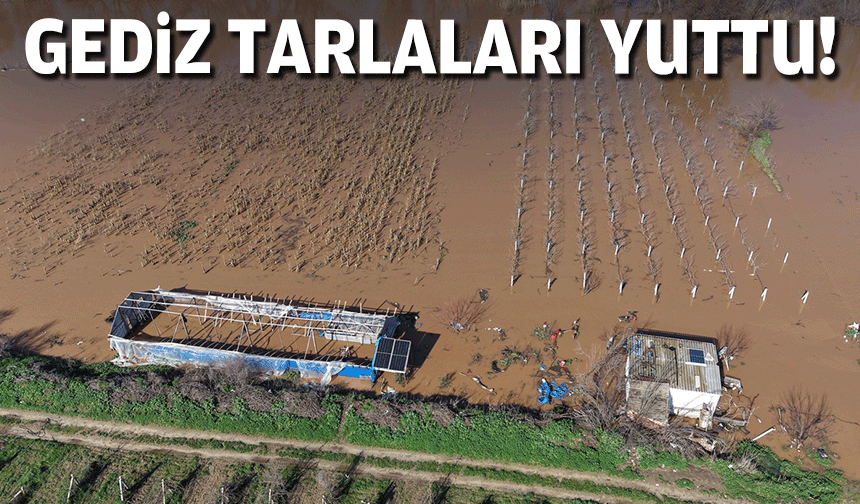 Gediz tarlaları yuttu!