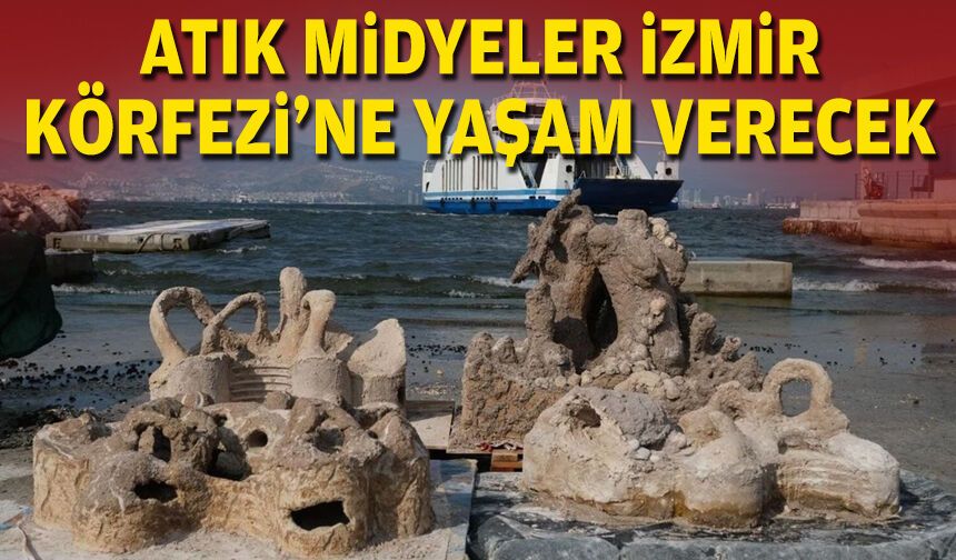 İzmir’de atık midye kabukları yapay resiflere dönüşecek
