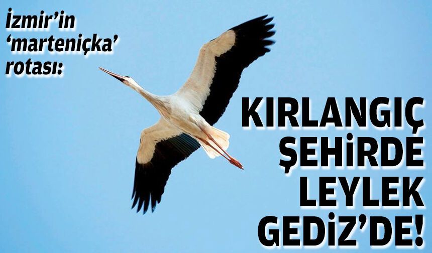İzmir’in ‘marteniçka’ rotası: Kırlangıç şehirde, Leylek Gediz’de!