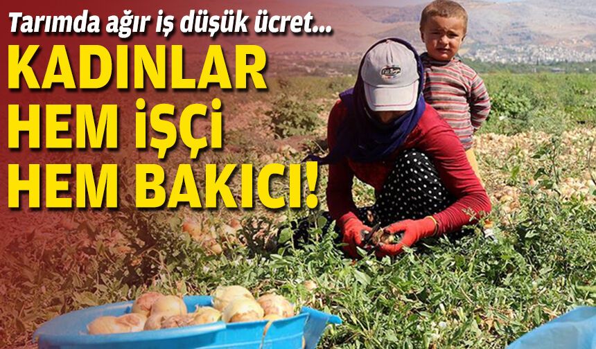 Tarımda ağır iş düşük ücret... Kadınlar hem işçi hem bakıcı!