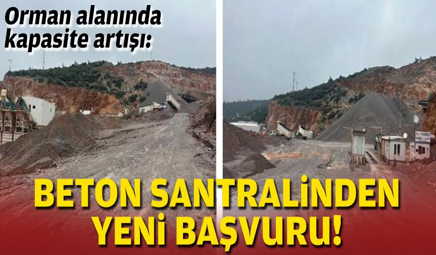 Orman alanında kapasite artışı: Beton santralinden yeni başvuru!