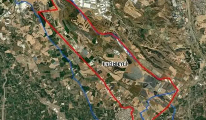 Mahkemeden Tarım ve Hayvancılık Bölgesi kararı... Kemalpaşa'da plan şoku!