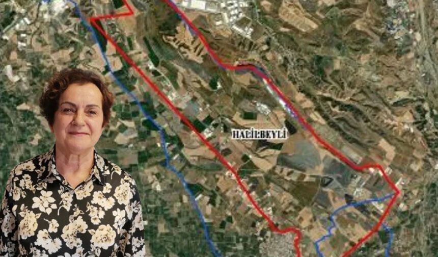 Av. Şehrazat Mercan’dan ‘Kemalpaşa’ uyarısı: Meclisin görevi matematik değildir!