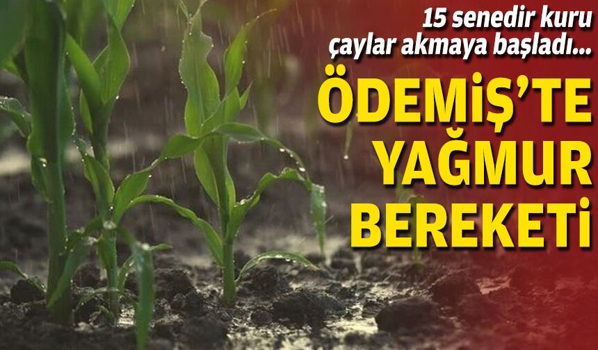 Ödemiş’te yağmur bereketi… 15 senedir kuru çaylar akmaya başladı!